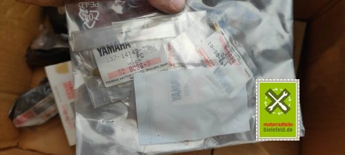 IMG_20230828_105258